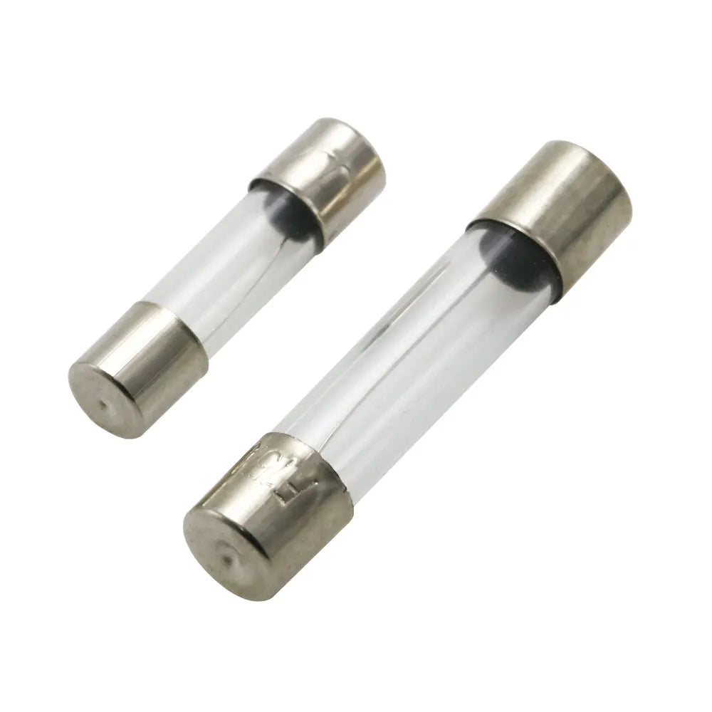 10Pcs/100Pcs 5x20mm Glass Fuse
